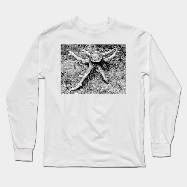 Six-armed Deadwood Bandit Long Sleeve T-Shirt by bobmeyers